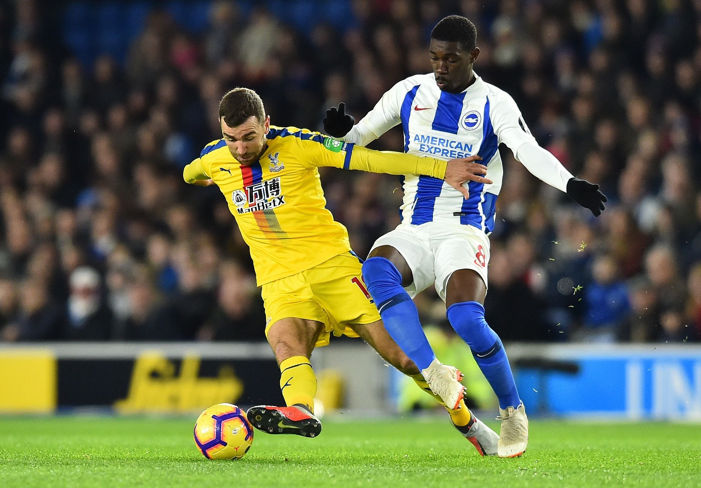 Nhận định Brighton vs Crystal Palace: Ai sẽ thắng? Phân tích trước trận