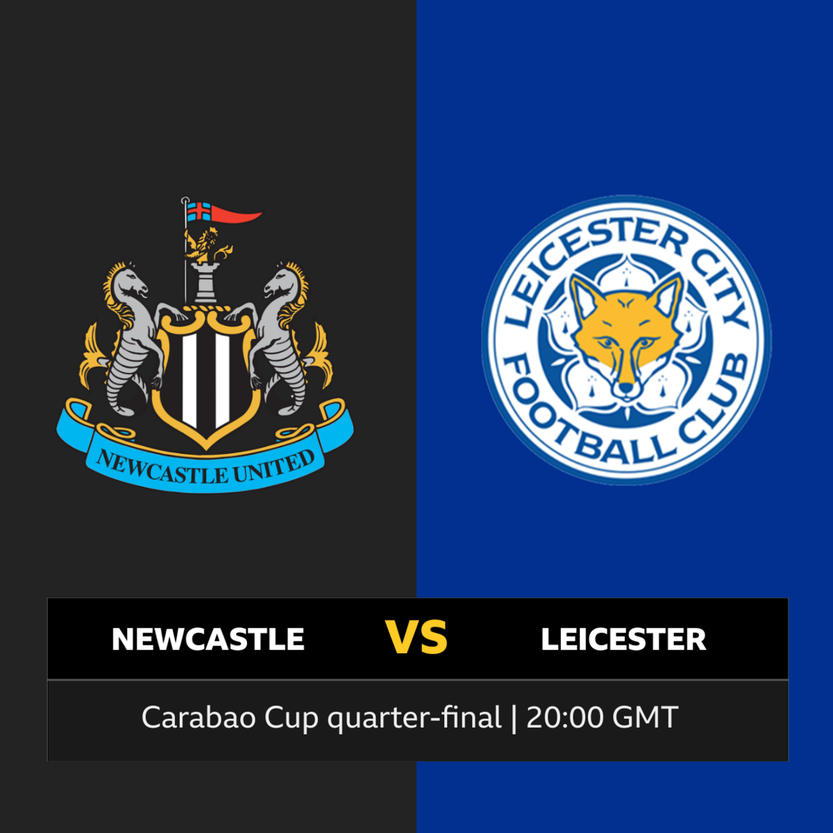 Xem trực tiếp bóng đá Ngoại hạng Anh - Newcastle vs Leicester hôm nay: Soi kèo, dự đoán tỷ số