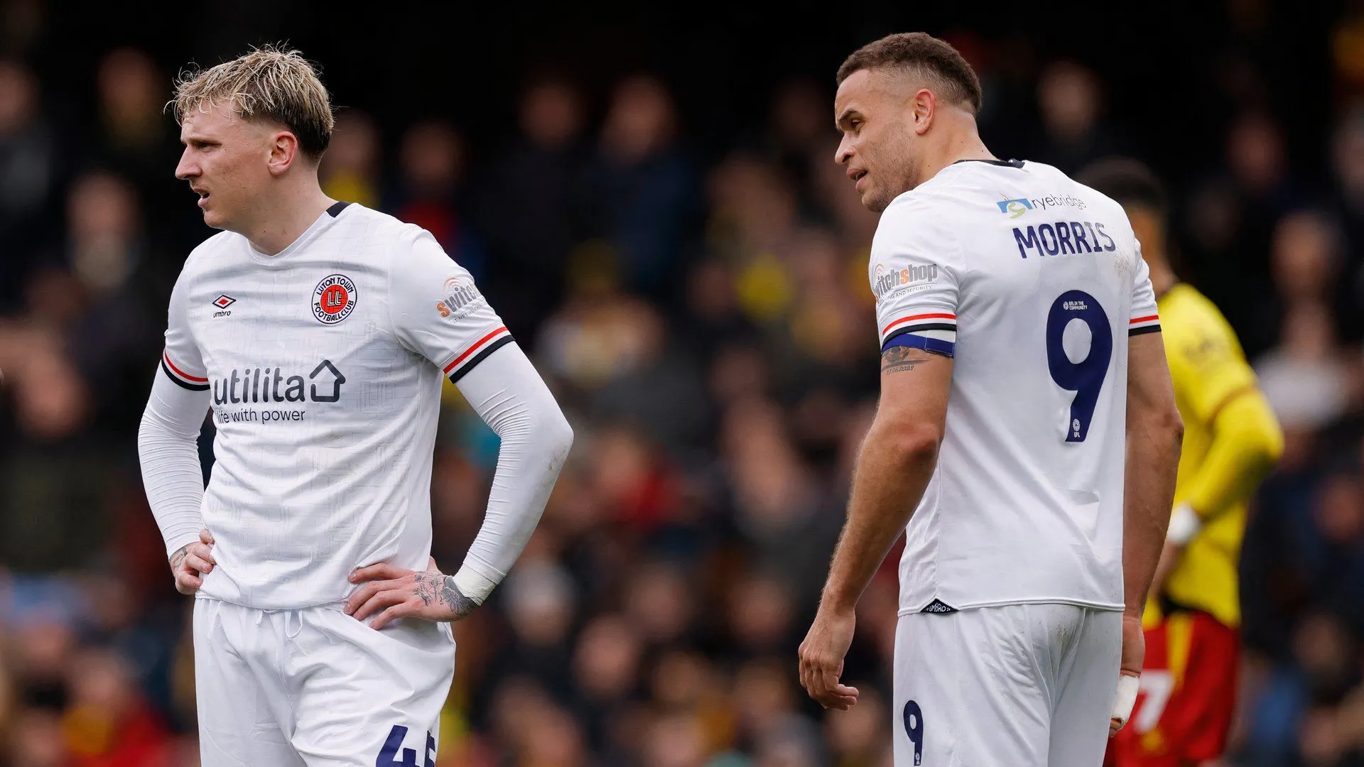 Alfie Doughty và Carlton Morris thi đấu cho Luton Town - Ảnh minh họa sự nghiệp trước đó của Doughty
