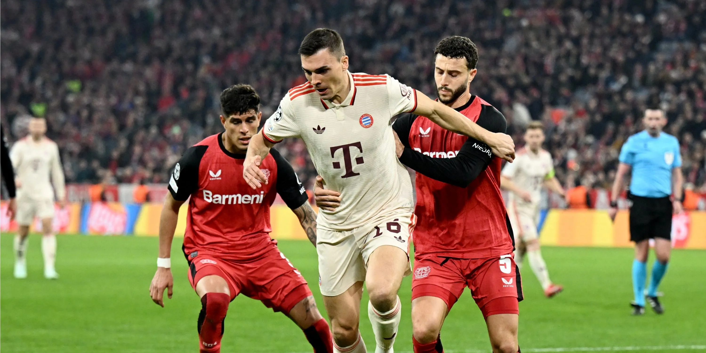 Joao Palhinha hạnh phúc trở lại Premier League trong màu áo Tottenham