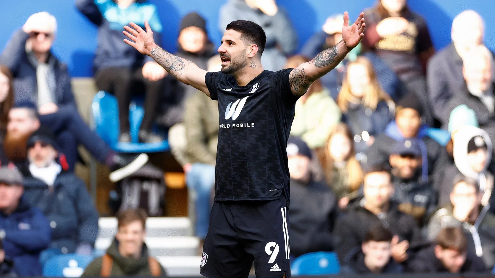 Tiền đạo Aleksandar Mitrovic trong màu áo Fulham